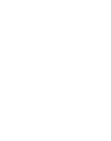 Essential Foods
